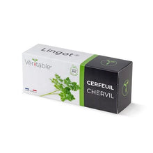 Load image into Gallery viewer, Chervil Lingot®