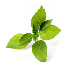 Load image into Gallery viewer, Lemon Basil Lingot®