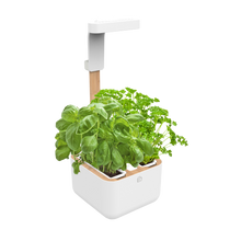 Load image into Gallery viewer, Botaneo Eylo garden