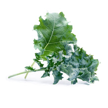 Load image into Gallery viewer, Kale Lingot®