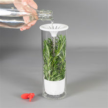 Load image into Gallery viewer, Véritable® Glass herb keeper
