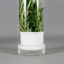 Load image into Gallery viewer, Véritable® Glass herb keeper