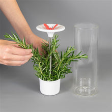 Load image into Gallery viewer, Véritable® Glass herb keeper
