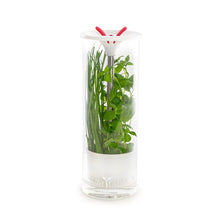 Load image into Gallery viewer, Véritable® Glass herb keeper