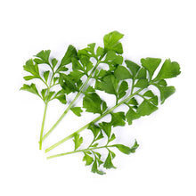 Load image into Gallery viewer, Garden Cress Lingot®
