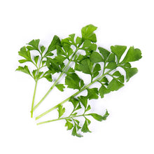 Load image into Gallery viewer, Garden Cress Lingot®