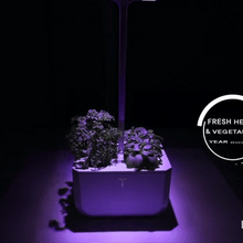 Load image into Gallery viewer, Exky® CLASSIC Garden