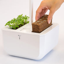 Load image into Gallery viewer, Exky® CLASSIC Garden