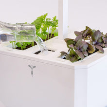 Load image into Gallery viewer, Exky® CLASSIC Garden