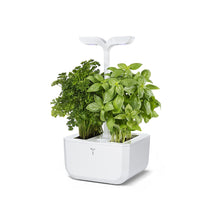 Load image into Gallery viewer, Exky® CLASSIC Garden