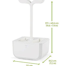 Load image into Gallery viewer, Exky® CLASSIC Garden