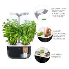Load image into Gallery viewer, Exky® SMART Garden