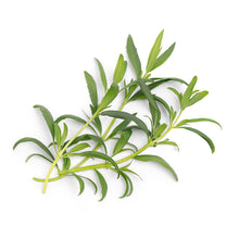 Load image into Gallery viewer, Hyssop Lingot®