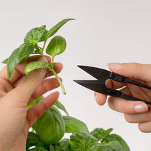 Load image into Gallery viewer, Véritable® Mini-Snips