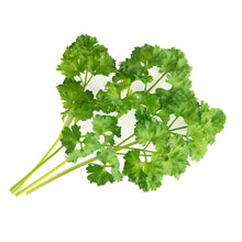 Load image into Gallery viewer, Curly Parsley Lingot®
