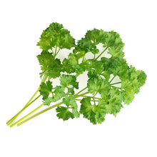 Load image into Gallery viewer, Curly Parsley Lingot®