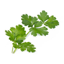 Load image into Gallery viewer, Flat Parsley Lingot®