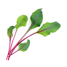 Load image into Gallery viewer, Beet Greens Lingot®