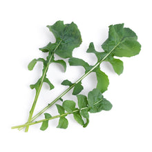 Load image into Gallery viewer, Arugula Lingot®