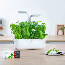 Load image into Gallery viewer, Thai Basil Lingot®