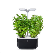 Load image into Gallery viewer, Color: Soft Black