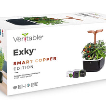 Load image into Gallery viewer, Color: Copper Edition