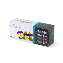 Load image into Gallery viewer, Pansy Lingot®