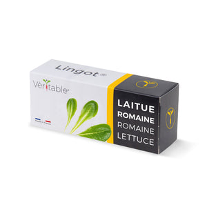 Romaine Lettuce Lingot®