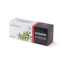Load image into Gallery viewer, Hyssop Lingot®