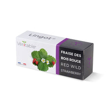 Load image into Gallery viewer, Wild Red Strawberry Lingot®