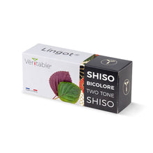 Load image into Gallery viewer, Two-tone Shiso Lingot®
