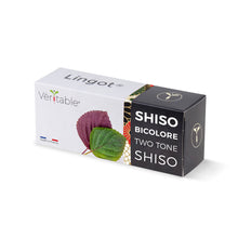Load image into Gallery viewer, Two-tone Shiso Lingot®