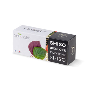 Two-tone Shiso Lingot®