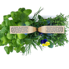 Load image into Gallery viewer, Color: Moonlight Gold