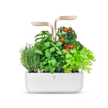 Load image into Gallery viewer, Color: Moonlight Gold