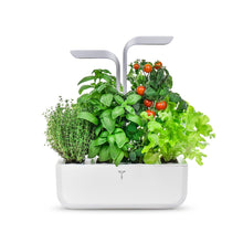 Load image into Gallery viewer, Color: Arctic White