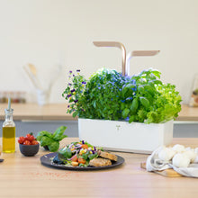 Load image into Gallery viewer, Véritable® CONNECT Garden