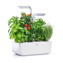 Load image into Gallery viewer, Véritable® SMART Garden
