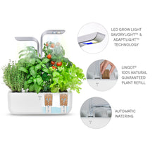 Load image into Gallery viewer, Véritable® SMART Garden