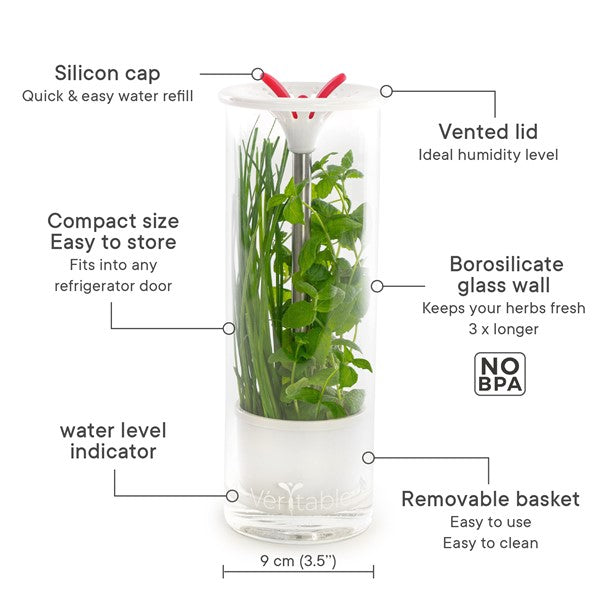 FBITE Herb Saver | portable RéCipient de Conservation | Pot Cornichon  Retournable transparent durable pour herbes aromatiques fraîches et herbes