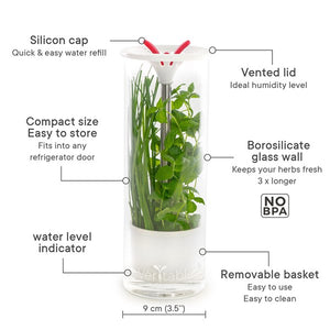 Véritable® Glass herb keeper