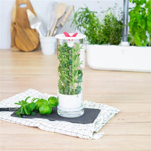 Load image into Gallery viewer, Véritable® Glass herb keeper