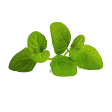 Load image into Gallery viewer, Icy Mint Lingot®