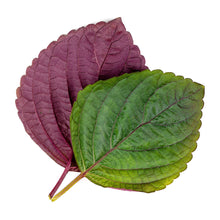 Load image into Gallery viewer, Two-tone Shiso Lingot®