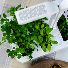 Load image into Gallery viewer, Véritable® CLASSIC Garden