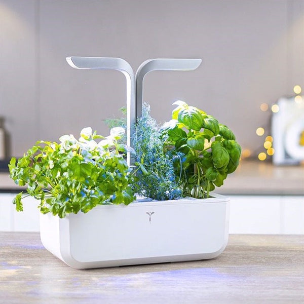A perfect introduction into hydroponic gardening