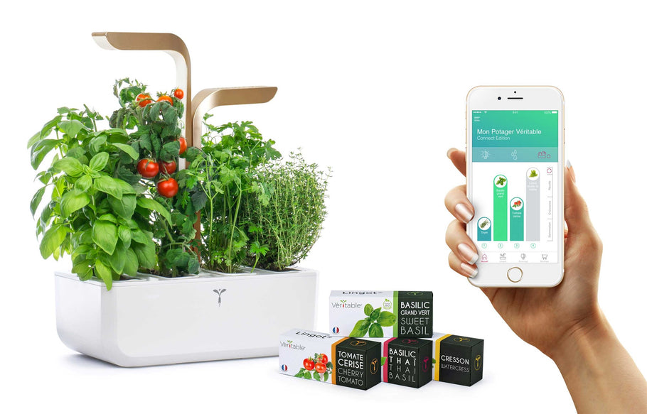 The Best Indoor Herb Garden Kits to Adorn Your Workspace - entrepreneur.com