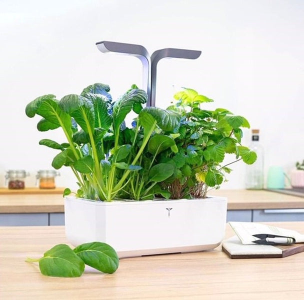 The Smart Garden Giveaway! - flapsnack.com