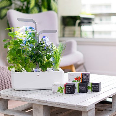 The 32 Best Housewarming Gifts for a New Homeowner - PureWow.com