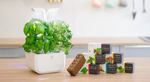 Veritable® Smart Indoor Garden Lingots® - Mint – MoMA Design Store